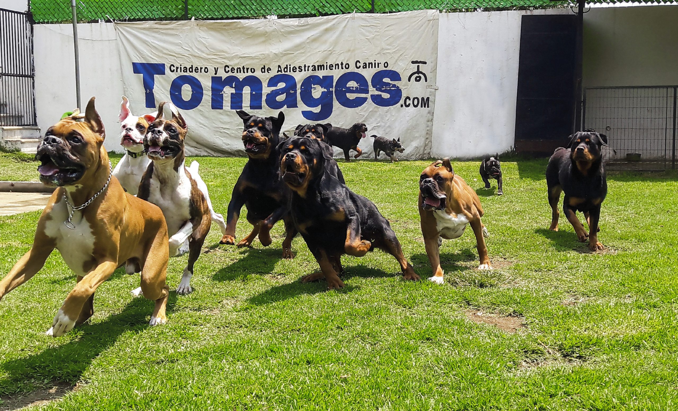 Presentación instalaciones  AJUSCO