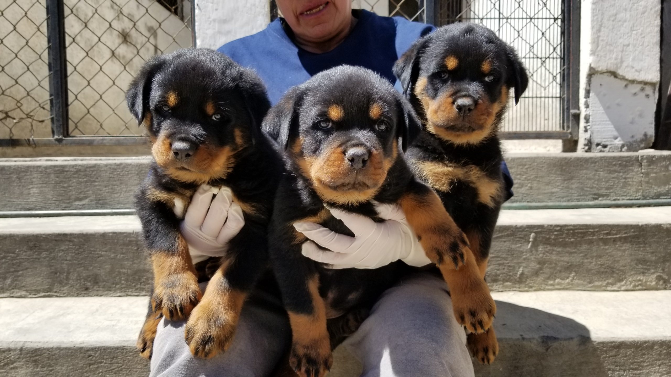 Foto-Buena-3-De-Marzo-2020