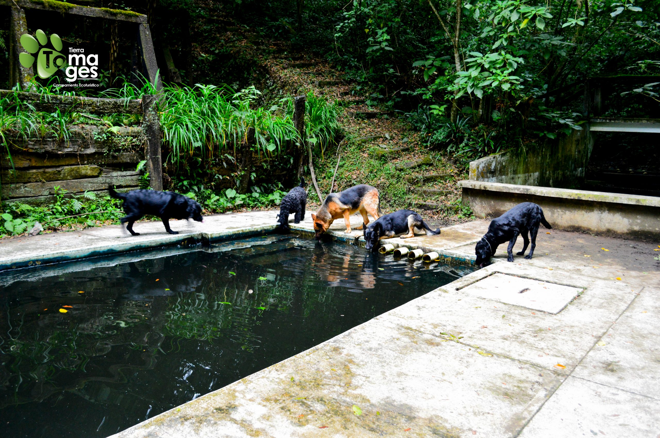 Tomages_-215 – copia (2)