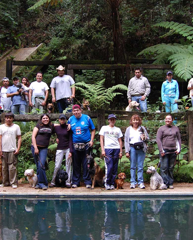 viaje en grupo con tu perro tomages