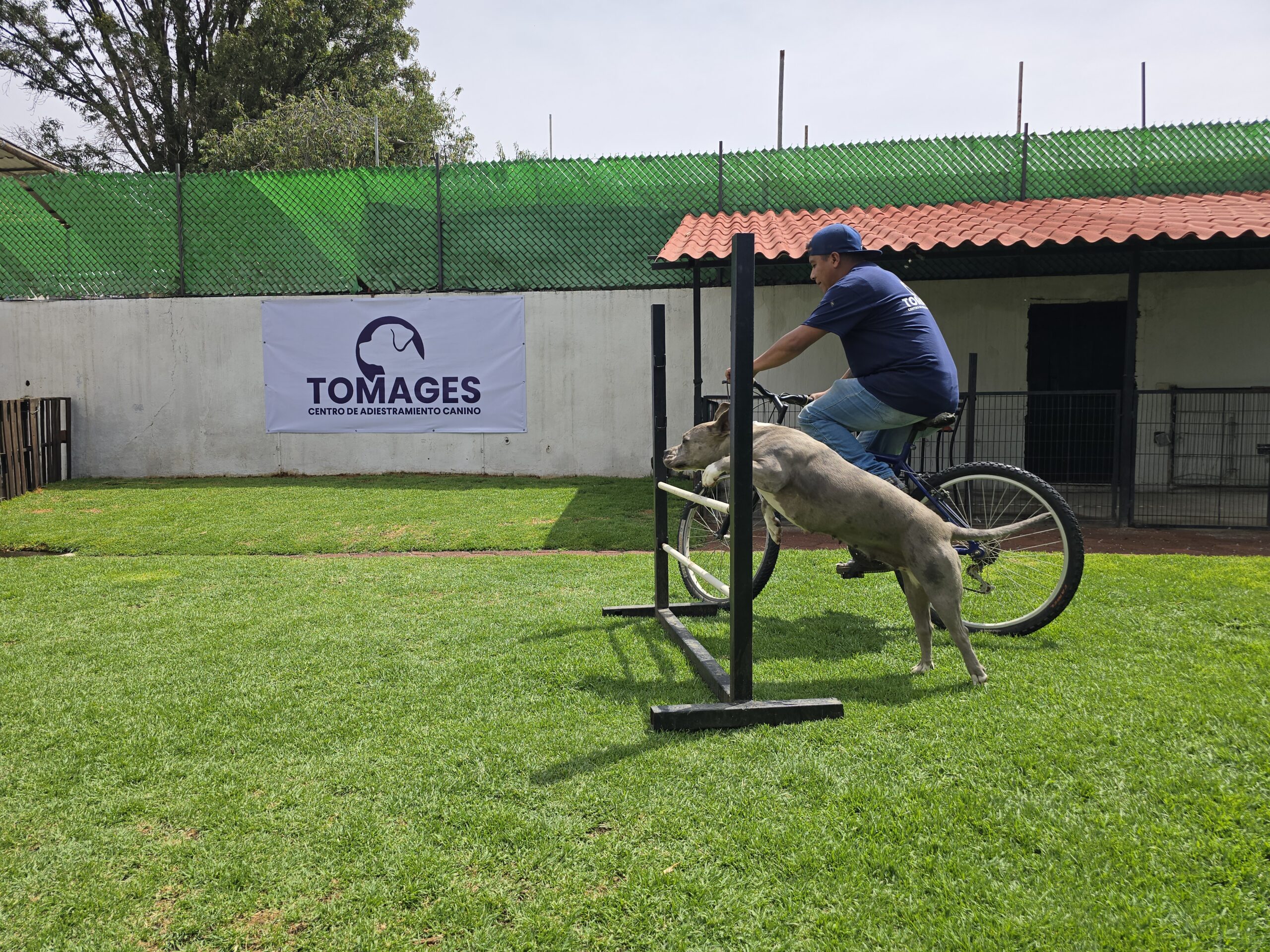 20250603_103913_017_saved